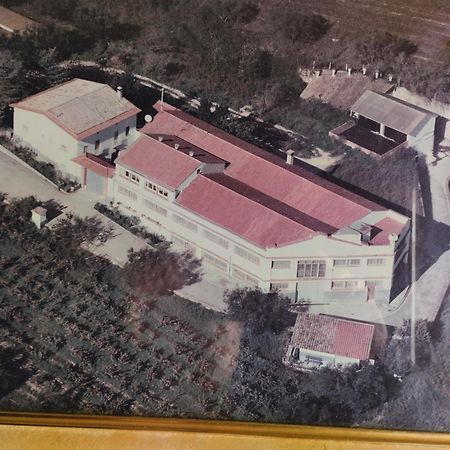 La Nursery De Mas Guillo San Quintín de Mediona Exterior foto